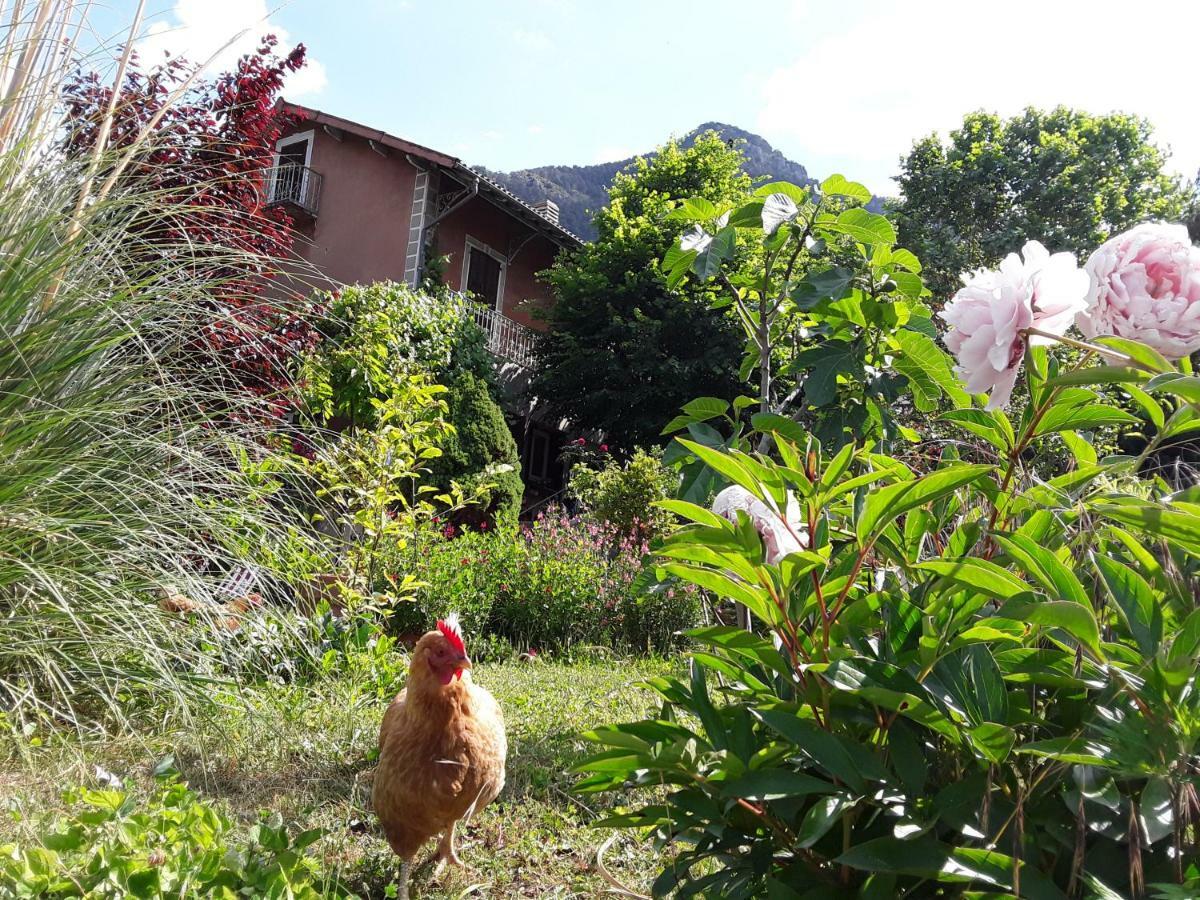 A La Belle Epoque Bed & Breakfast Valdeblore Eksteriør bilde